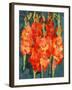 Cornish Gladioli, 2006-Deborah Barton-Framed Giclee Print