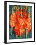 Cornish Gladioli, 2006-Deborah Barton-Framed Giclee Print