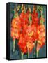 Cornish Gladioli, 2006-Deborah Barton-Framed Stretched Canvas