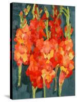 Cornish Gladioli, 2006-Deborah Barton-Stretched Canvas