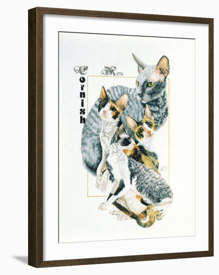 Cornish Rex-Barbara Keith-Framed Giclee Print