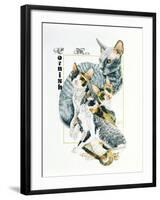 Cornish Rex-Barbara Keith-Framed Giclee Print