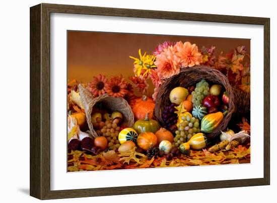 Cornucopia II-Kathy Mahan-Framed Photographic Print