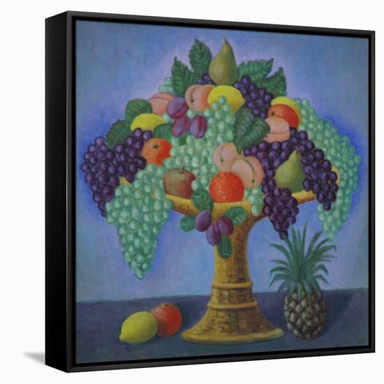 Cornucopia-Ruth Addinall-Framed Stretched Canvas