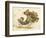 Cornucopia-Kate Greenaway-Framed Art Print