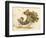 Cornucopia-Kate Greenaway-Framed Art Print