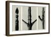 Cornus Nuttalli. 1929 (Photogravure)-Karl Blossfeldt-Framed Giclee Print