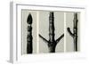 Cornus Nuttalli. 1929 (Photogravure)-Karl Blossfeldt-Framed Giclee Print