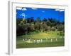 Cornwall Cricket Club, Auckland, New Zealand-David Wall-Framed Photographic Print