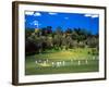Cornwall Cricket Club, Auckland, New Zealand-David Wall-Framed Photographic Print