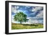 Cornwall Tree-Robert Goldwitz-Framed Photographic Print