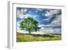 Cornwall Tree-Robert Goldwitz-Framed Photographic Print