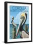 Corolla, North Carolina - Pelicans-Lantern Press-Framed Art Print