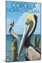 Corolla, North Carolina - Pelicans-Lantern Press-Mounted Art Print