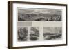 Coromandel Gold-Diggings, New Zealand-null-Framed Giclee Print