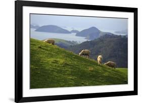 Coromandel Peninsula, North Island, New Zealand-Paul Dymond-Framed Photographic Print