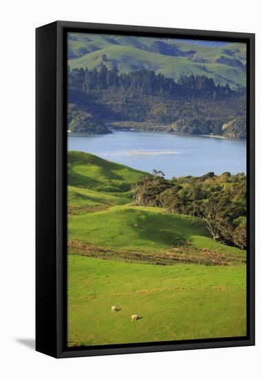 Coromandel Peninsula, North Island, New Zealand-Paul Dymond-Framed Stretched Canvas