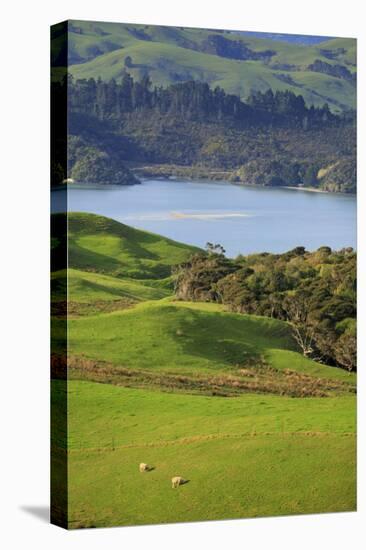 Coromandel Peninsula, North Island, New Zealand-Paul Dymond-Stretched Canvas