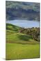 Coromandel Peninsula, North Island, New Zealand-Paul Dymond-Mounted Photographic Print