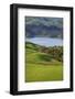 Coromandel Peninsula, North Island, New Zealand-Paul Dymond-Framed Photographic Print