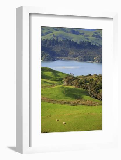 Coromandel Peninsula, North Island, New Zealand-Paul Dymond-Framed Photographic Print