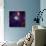 Corona Australis region, one of the nearest and most active regions of star formation in our Galaxy-null-Photographic Print displayed on a wall