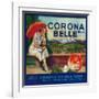 Corona Belle Orange Label - Corona, CA-Lantern Press-Framed Art Print