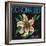 Corona, California, Corona Lily Brand Citrus Label-Lantern Press-Framed Art Print