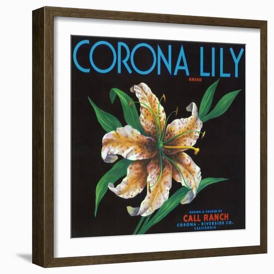 Corona, California, Corona Lily Brand Citrus Label-Lantern Press-Framed Art Print