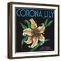 Corona, California, Corona Lily Brand Citrus Label-Lantern Press-Framed Art Print