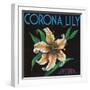 Corona, California, Corona Lily Brand Citrus Label-Lantern Press-Framed Art Print