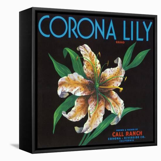 Corona, California, Corona Lily Brand Citrus Label-Lantern Press-Framed Stretched Canvas