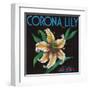 Corona, California, Corona Lily Brand Citrus Label-Lantern Press-Framed Art Print