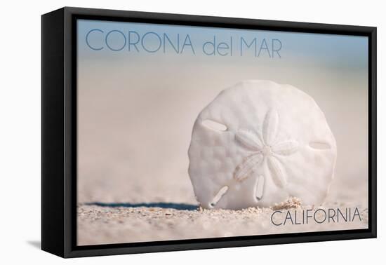 Corona del Mar, California - Sand Dollar and Beach-Lantern Press-Framed Stretched Canvas
