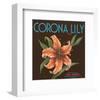 Corona Lily Brand Citrus, California-null-Framed Art Print