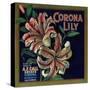 Corona Lily Orange Label - Corona, CA-Lantern Press-Stretched Canvas