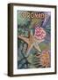 Coronado, California - Tidepools-Lantern Press-Framed Art Print