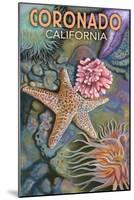 Coronado, California - Tidepools-Lantern Press-Mounted Art Print