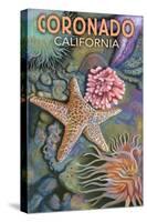 Coronado, California - Tidepools-Lantern Press-Stretched Canvas