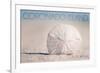 Coronado Island, California - Sand Dollar and Beach-Lantern Press-Framed Premium Giclee Print