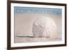 Coronado Island, California - Sand Dollar and Beach-Lantern Press-Framed Art Print
