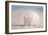 Coronado Island, California - Sand Dollar and Beach-Lantern Press-Framed Art Print