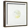 Coronal Streamer II-Tyson Estes-Framed Giclee Print