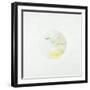 Coronal Streamer II-Tyson Estes-Framed Giclee Print