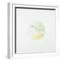 Coronal Streamer II-Tyson Estes-Framed Giclee Print