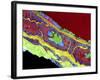 Coronary Artery, TEM-Thomas Deerinck-Framed Photographic Print