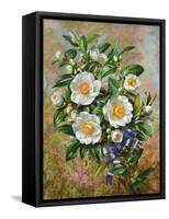 Coronation Camelia from the 'Golden Jubilee' Series, 2002-Albert Williams-Framed Stretched Canvas