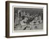 Coronation Celebrations by the Fleet at Constantinople, an Entertainment on Board H M S Scout-Henry Marriott Paget-Framed Giclee Print