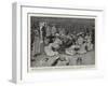 Coronation Celebrations by the Fleet at Constantinople, an Entertainment on Board H M S Scout-Henry Marriott Paget-Framed Giclee Print