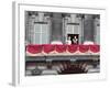 Coronation Day 1953-Charles Woof-Framed Photographic Print